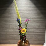 IMG_8672.jpeg