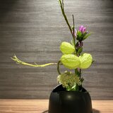 IMG_8898.jpeg