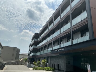 IMG_8654.jpeg