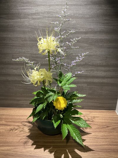 IMG_9770.jpeg