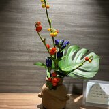 IMG_0165.jpeg