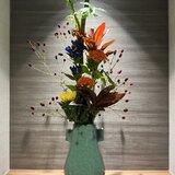 IMG_9105.jpeg