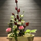 IMG_8947.jpeg