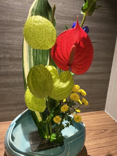 IMG_9967.jpeg