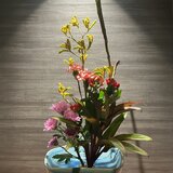 IMG_0175.jpeg