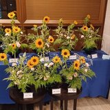 20230615_183141 1.jpg