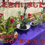 生け花 .jpg