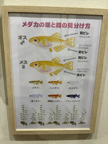 Image_20261009_180916_060.jpeg
