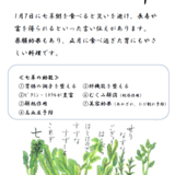 スクリーンショット 2024-12-22 132128.png