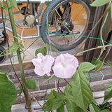 20260905_062210.jpg