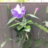 IMG_0084.png