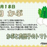 0518旬かぶ_page-0001 (1).jpg