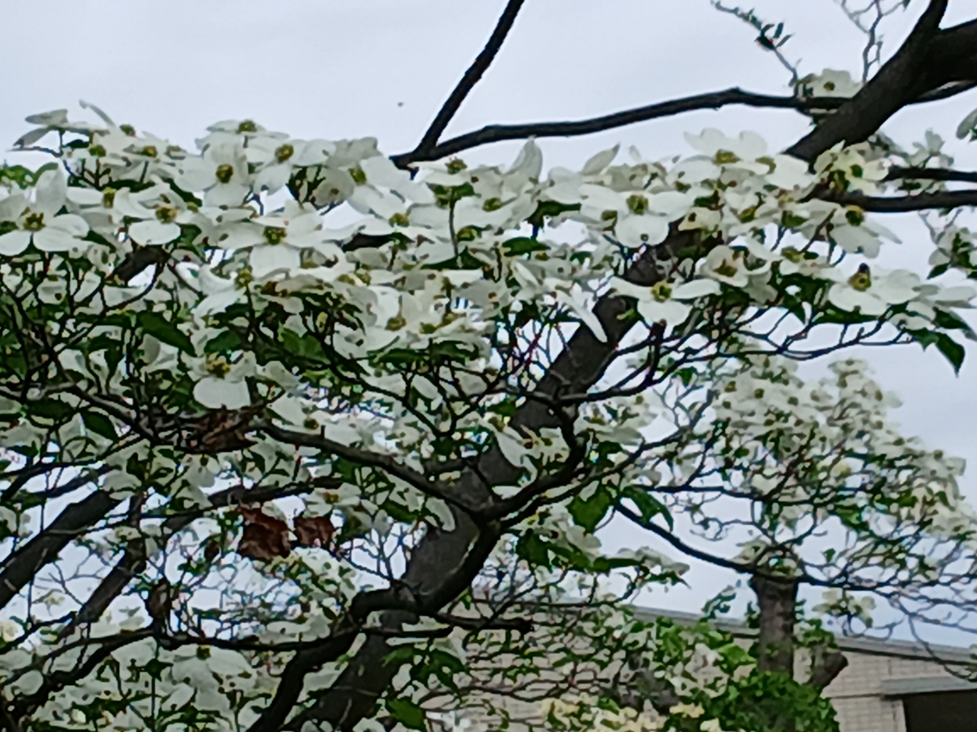 20260422_110213.jpg