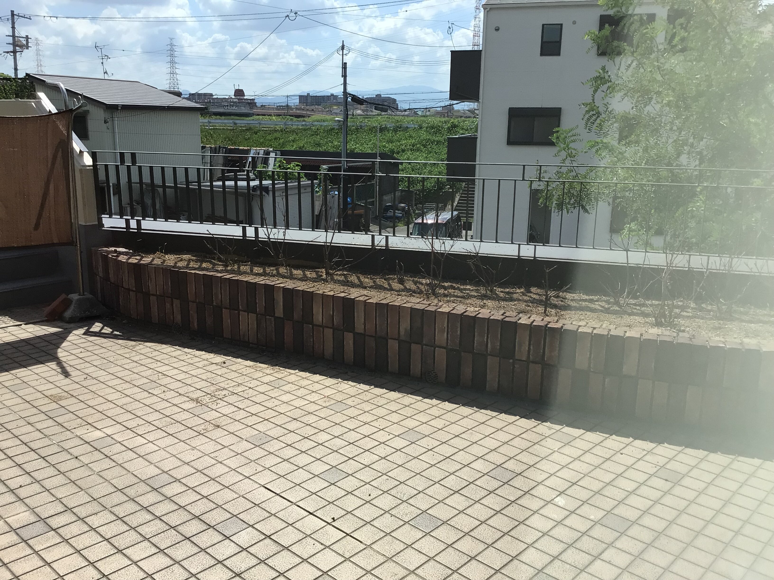 IMG_0012.JPG