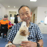 犬③のサムネイル画像