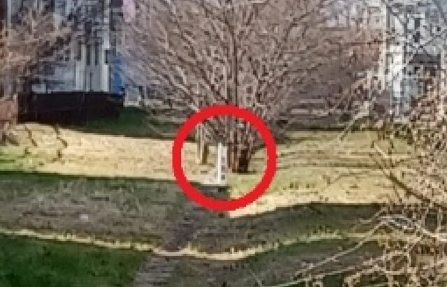 20260201_110219 - コピー2.jpg