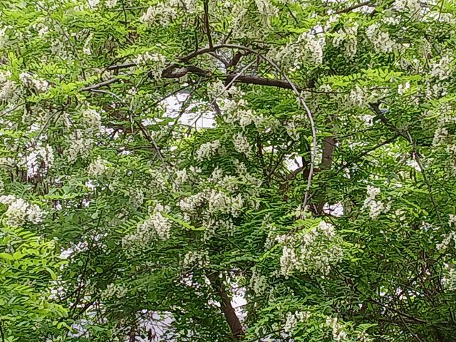 20260422_104808.jpg