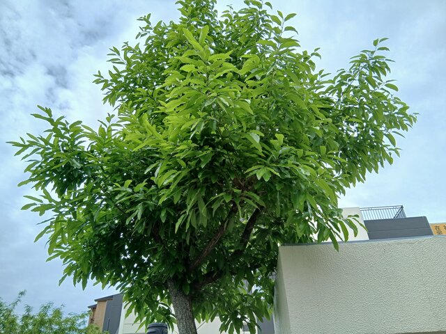 20260422_105034.jpg