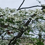 20260422_110213.jpg