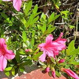 20260505_092659.jpg