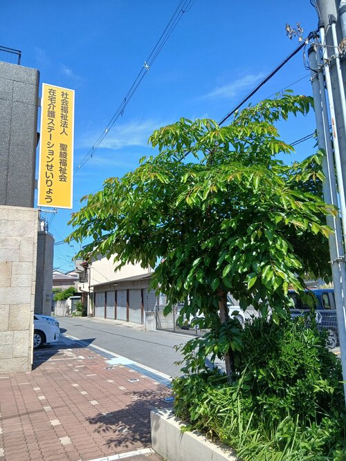20260505_092405.jpg