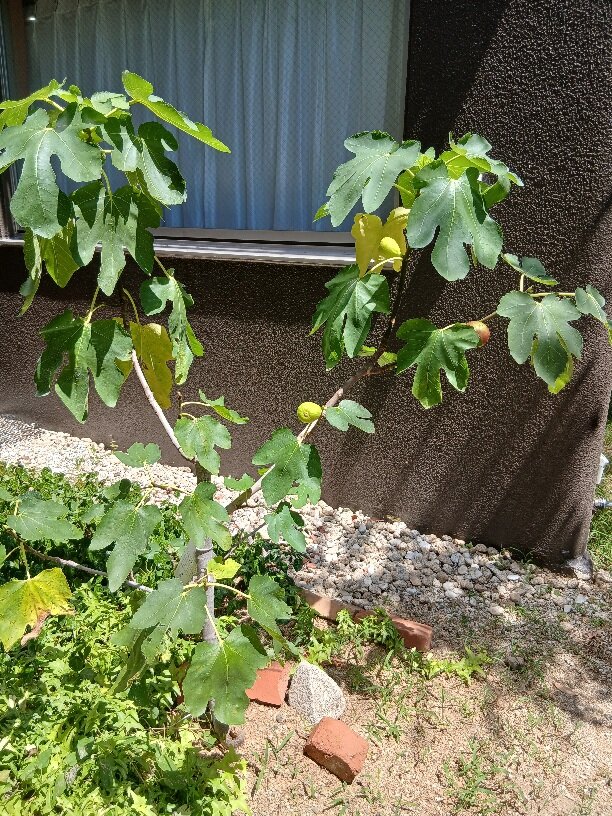 20260821_121111.jpg