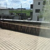 IMG_0012.JPG