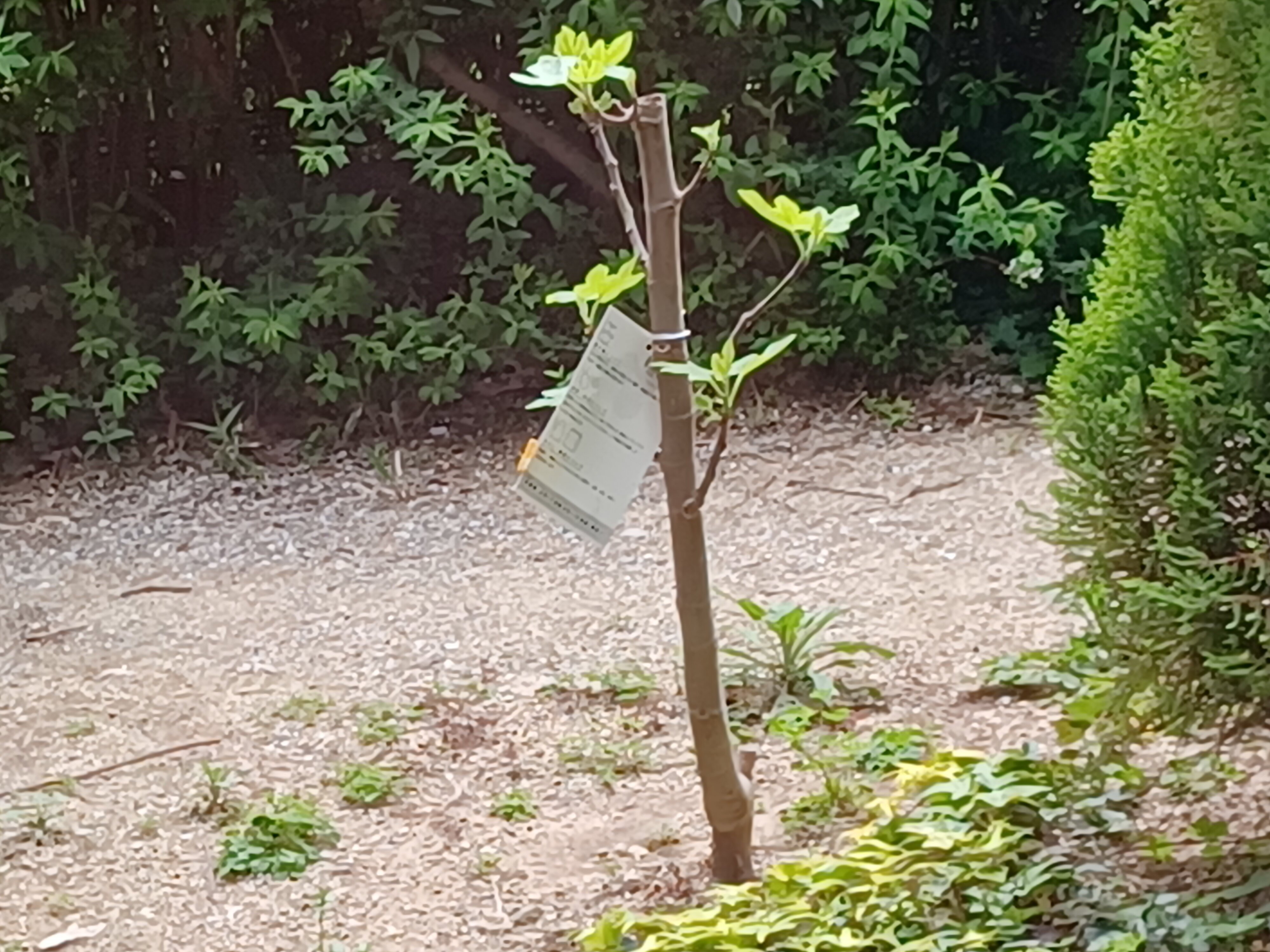 20240411_135951 (1).jpg