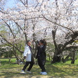 ロック とぅい.JPG