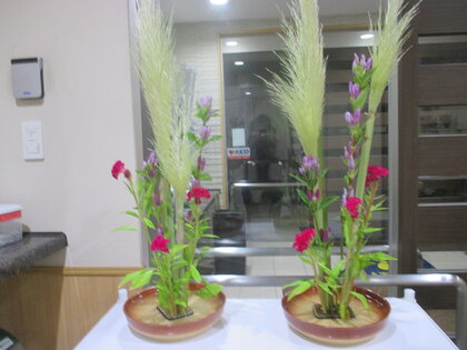 IMG_1514 - コピー.JPG