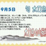 9.5　太刀魚の山椒焼き.jpg
