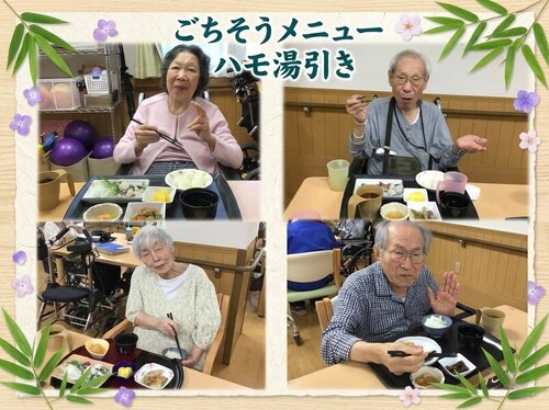 Gochi-Hamo0814.jpg