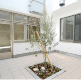 中庭2026-04-15 082409.png