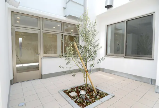 中庭2026-04-15 082409.png