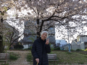 コヤギ.JPGのサムネイル画像