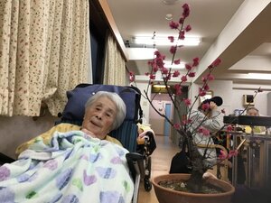 IMG_1237.JPGのサムネイル画像