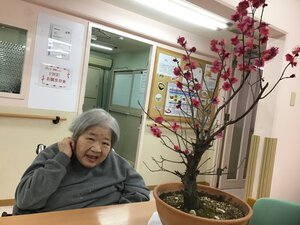 IMG_1244.JPGのサムネイル画像