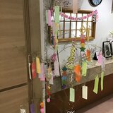 IMG_5393.jpg
