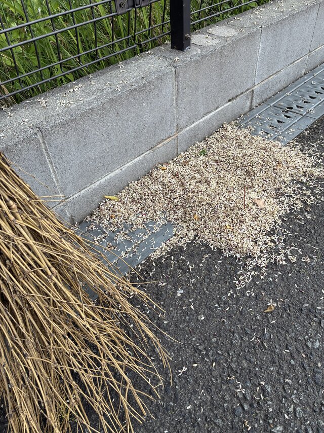 https://www.supercourt.jp/blog/takaishi/0a357f1c9544a34f7d8d1789dd6abff1e3f7fbea.jpg