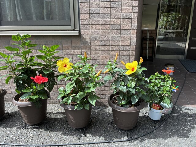 https://www.supercourt.jp/blog/takaishi/7994675885df2c7d287806f3bf3c7e1cdd689c7a.jpg