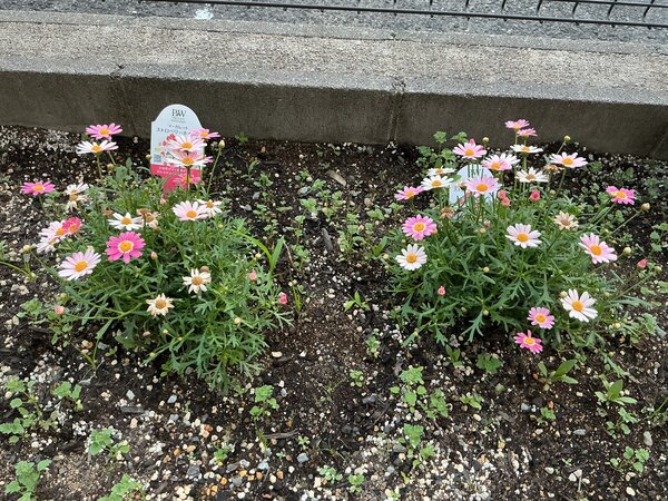IMG_0713.jpeg
