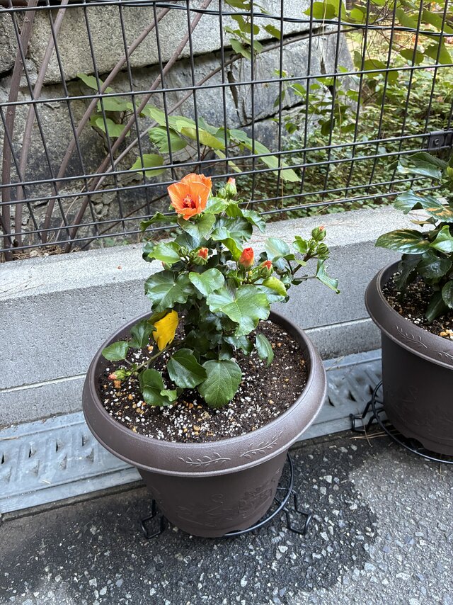 https://www.supercourt.jp/blog/takaishi/IMG_5850%5B1%5D.jpg