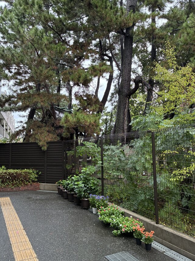 https://www.supercourt.jp/blog/takaishi/IMG_5941%5B1%5D.jpg