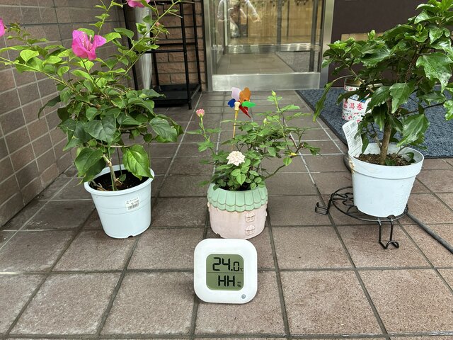 alt="スーパーコート高石羽衣の玄関前に置かれた24.0度を示すデジタル温度計と鉢植えの花々"