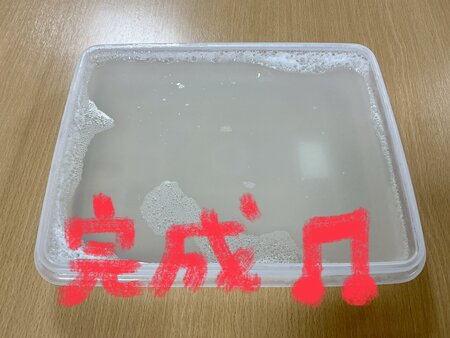 IMG_E6079.JPG