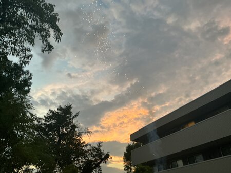 IMG_8352.JPG
