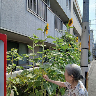 https://www.supercourt.jp/blog/tatsumikita/79df8c3577d19e993290e5f3be6fa7c6ad2859c5.jpg
