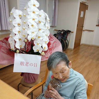 206.jpg