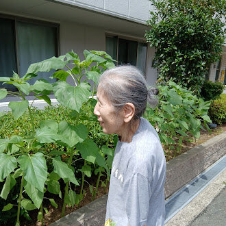 https://www.supercourt.jp/blog/tatsumikita/bab2e36ad482c75f3828aea58761ca5bc9a78da7.jpg