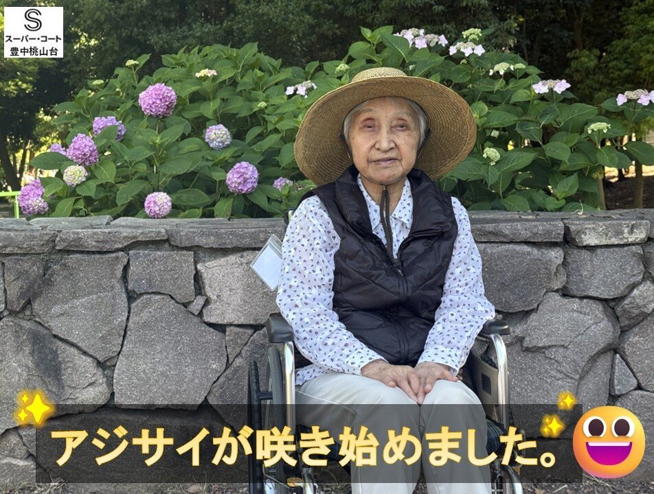 https://www.supercourt.jp/blog/toyonakamomoyamadai/267be33f85ad3d5b4c96234ac8b732ac9cb4014c.jpg